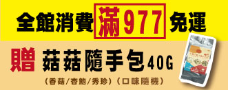 活動